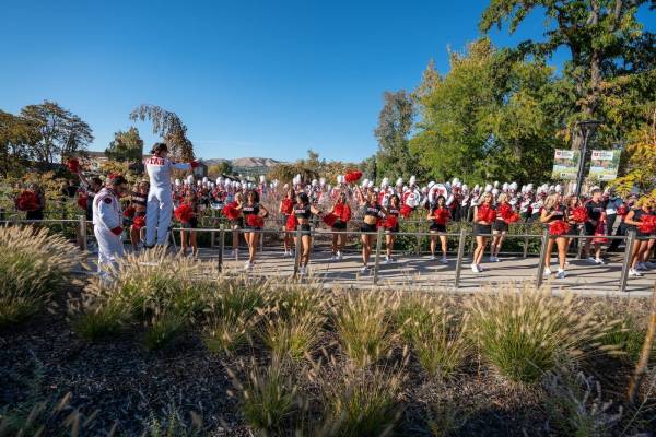 Art_Tailgate-41_original